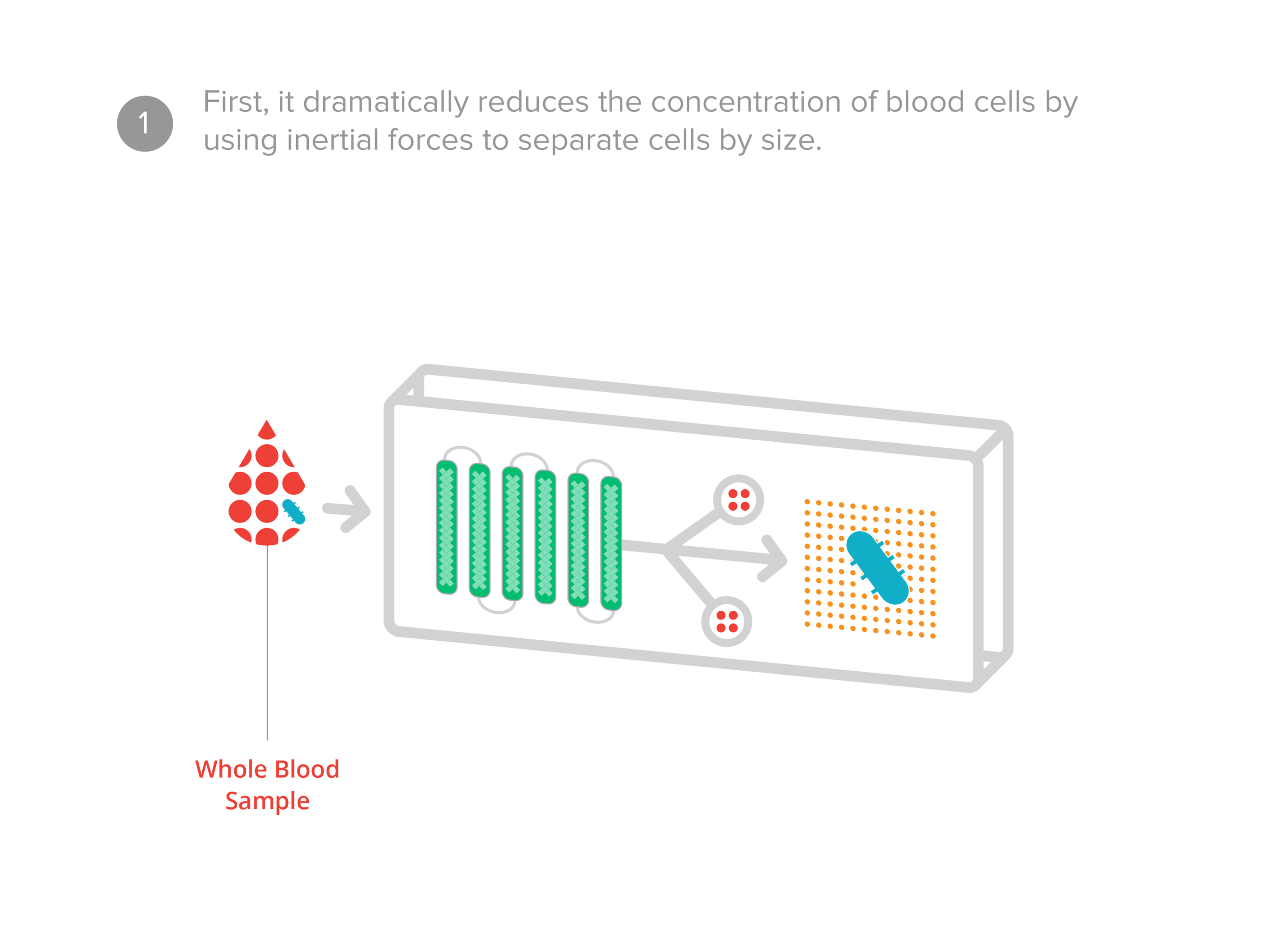 Solutions — 3i Diagnostics