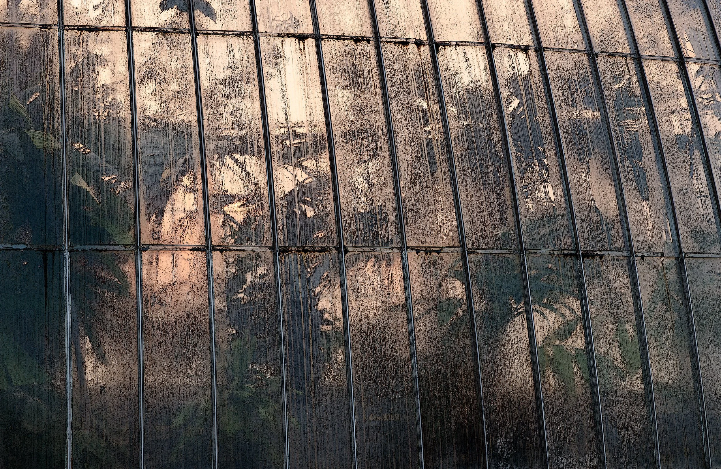 Palm House detail, Kew Gardens