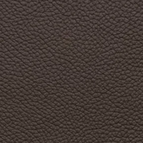 Classic Coconut Brown Leather