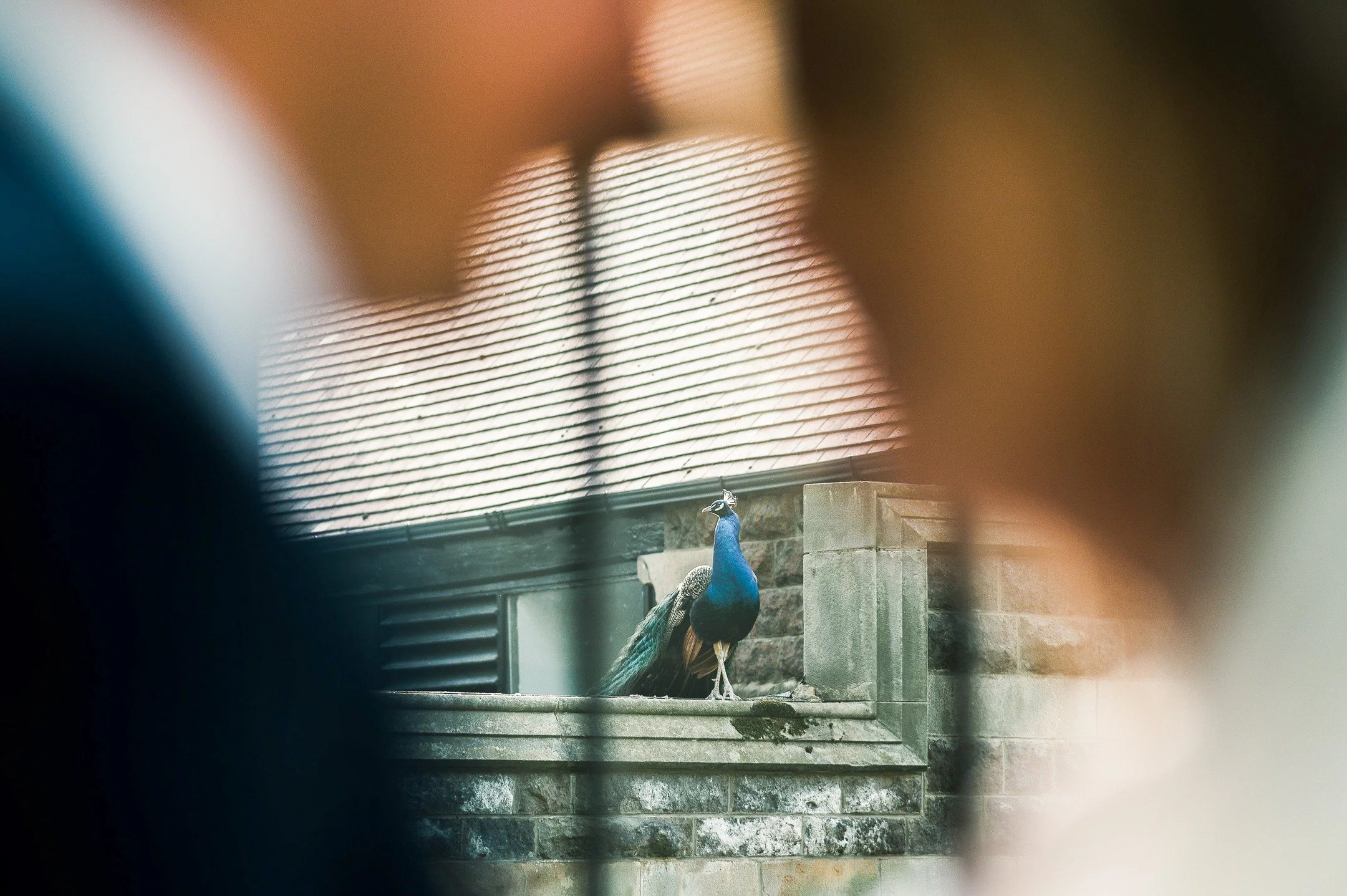 &ldquo;I have to remind myself that some birds aren't meant to be caged. Their feathers are just too bright".

Suzanne &amp; Stephen @rushpool_hall.

Getting married? Get in touch.

#durhamweddingphotographer
#newcastleweddingphotographer
#rushp