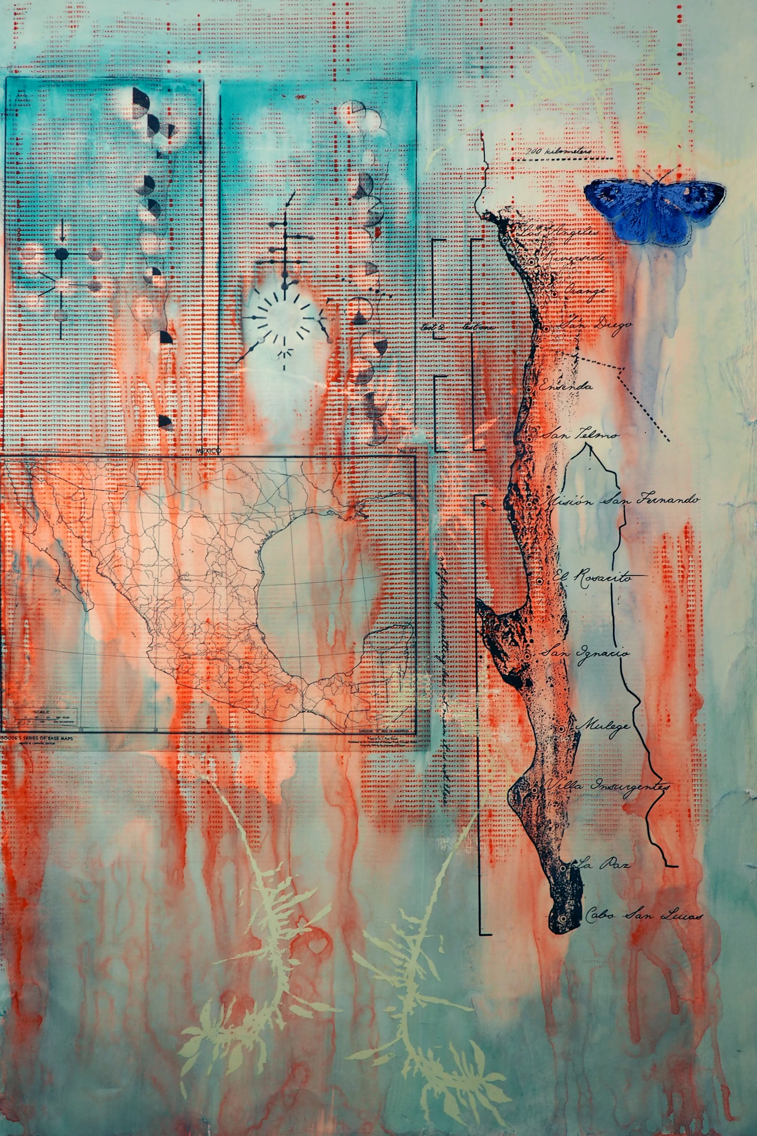 Coastal Sage (with Map and Blue)