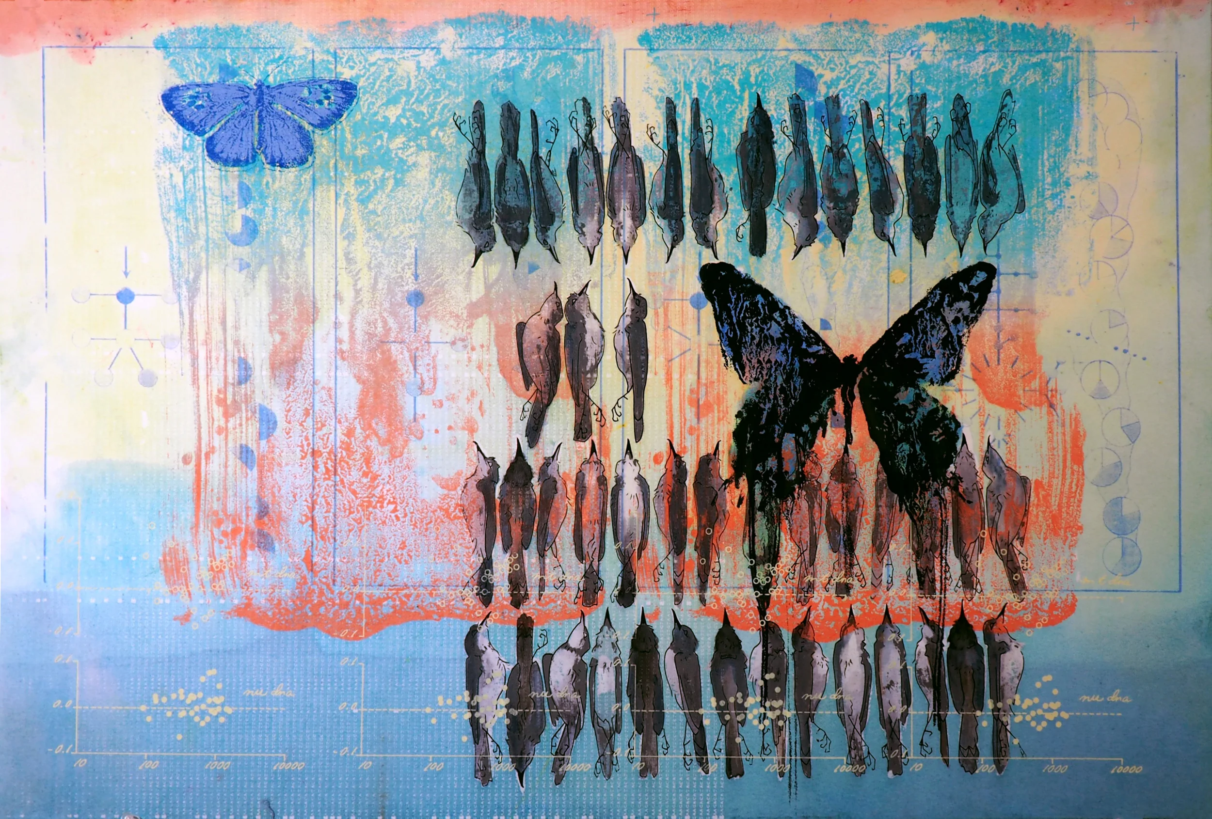 Songbirds (with Large Butterfly)_150.jpg