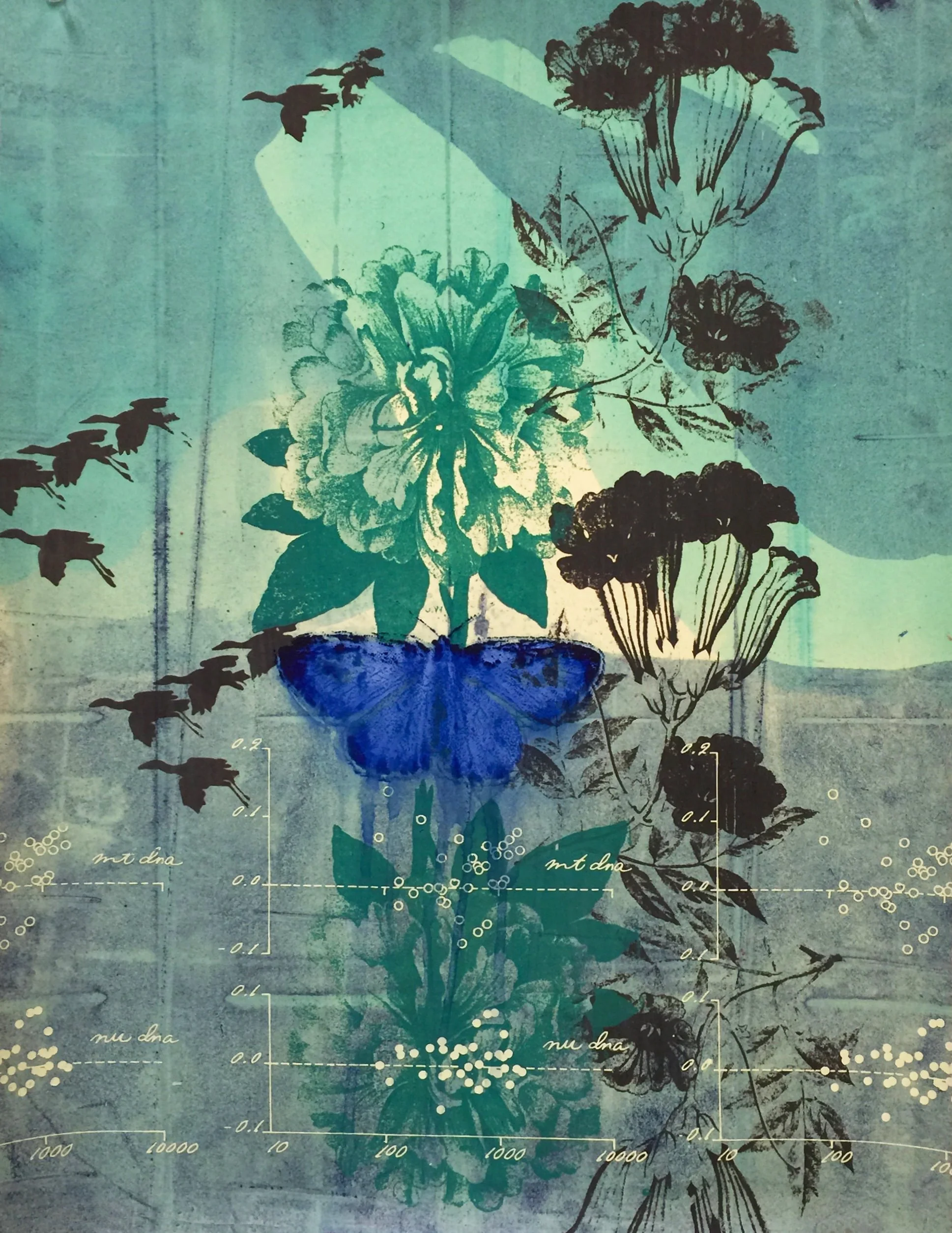 Palos Verdes Blue (with Peony)