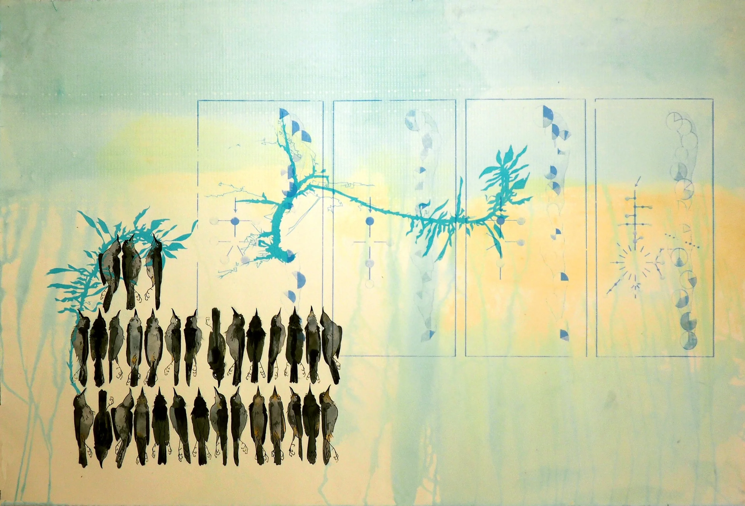 Gnatcatchers and Coastal Sage (with pale Data)_150.jpg