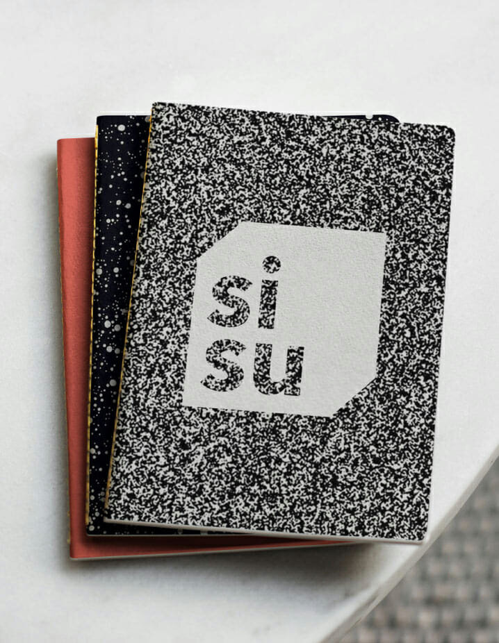 16-Sisu-notebook.jpg