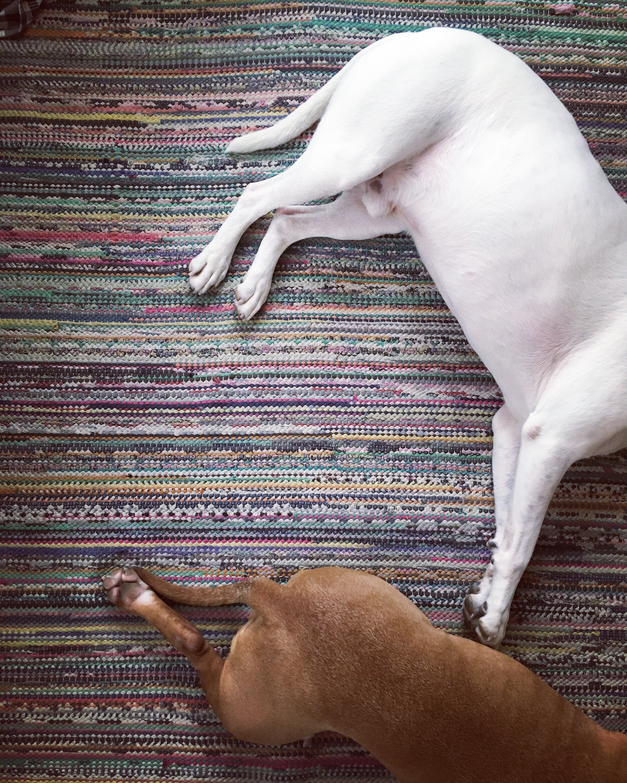 RAG RUG WORKSHOP (ADULT)