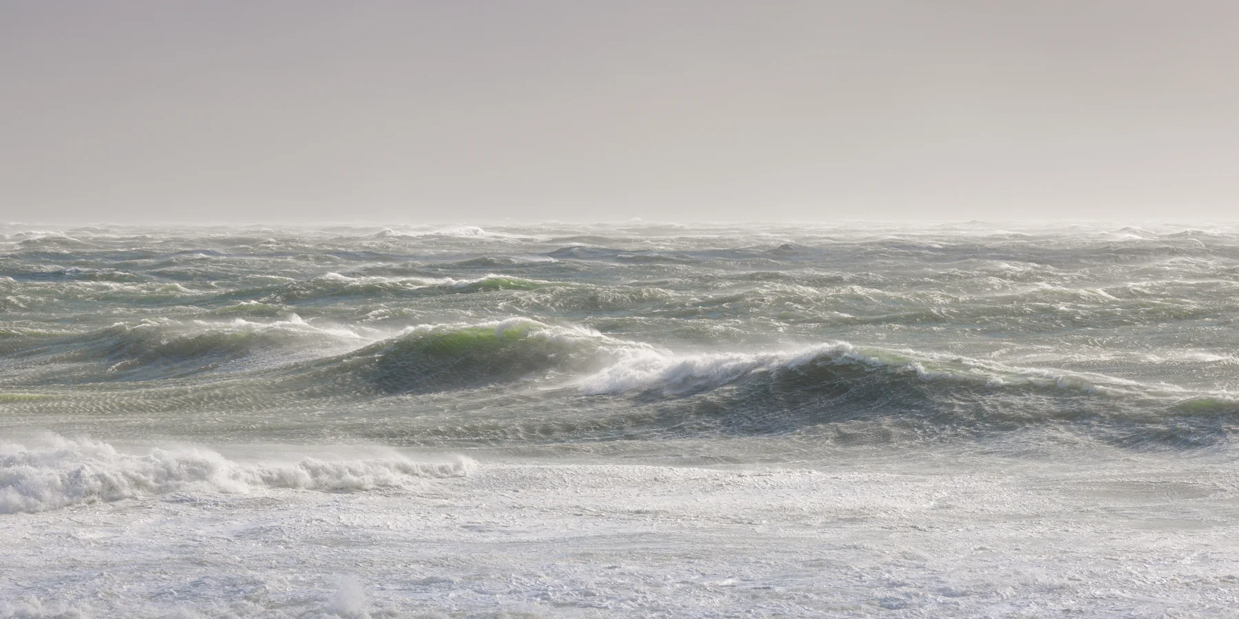 High Seas / February