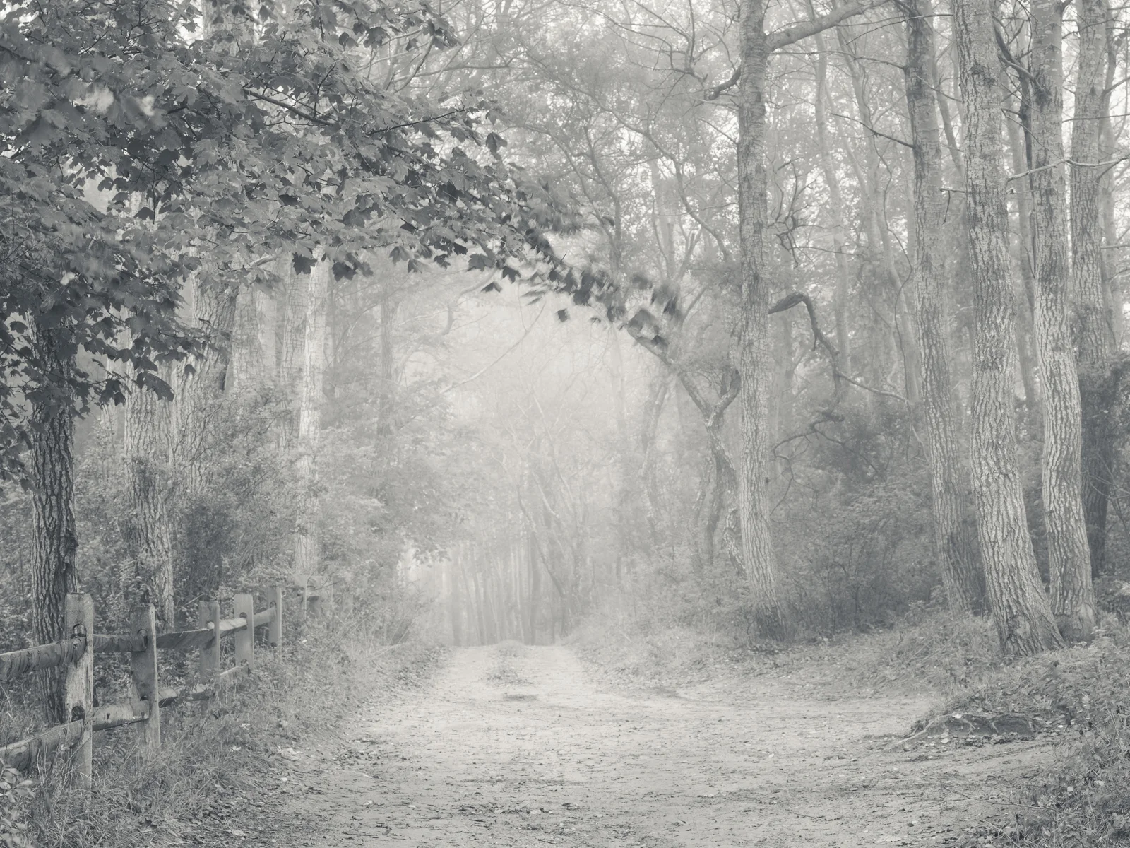 Toward Home / Polpis Harbor