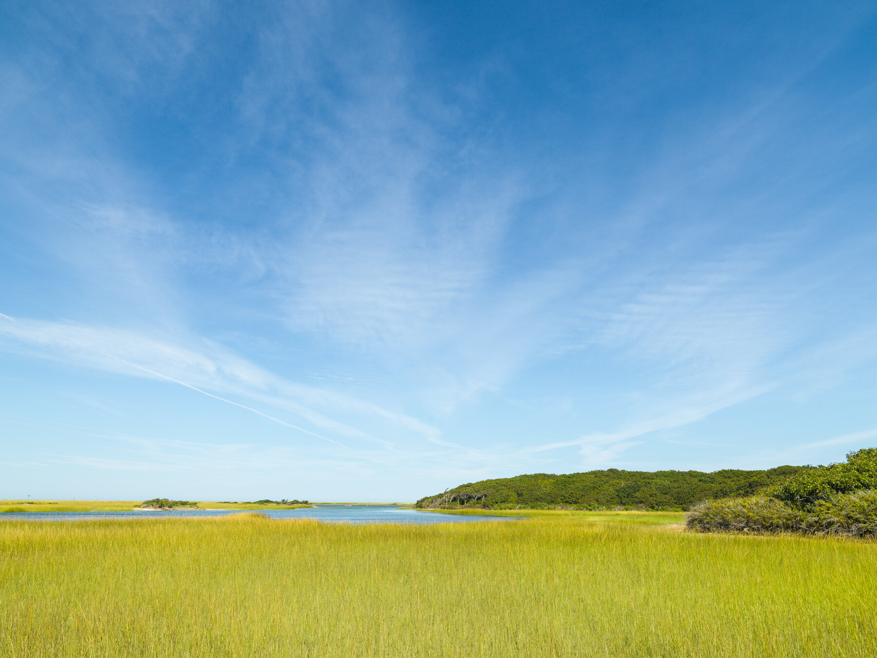 Summer Day at Coskata