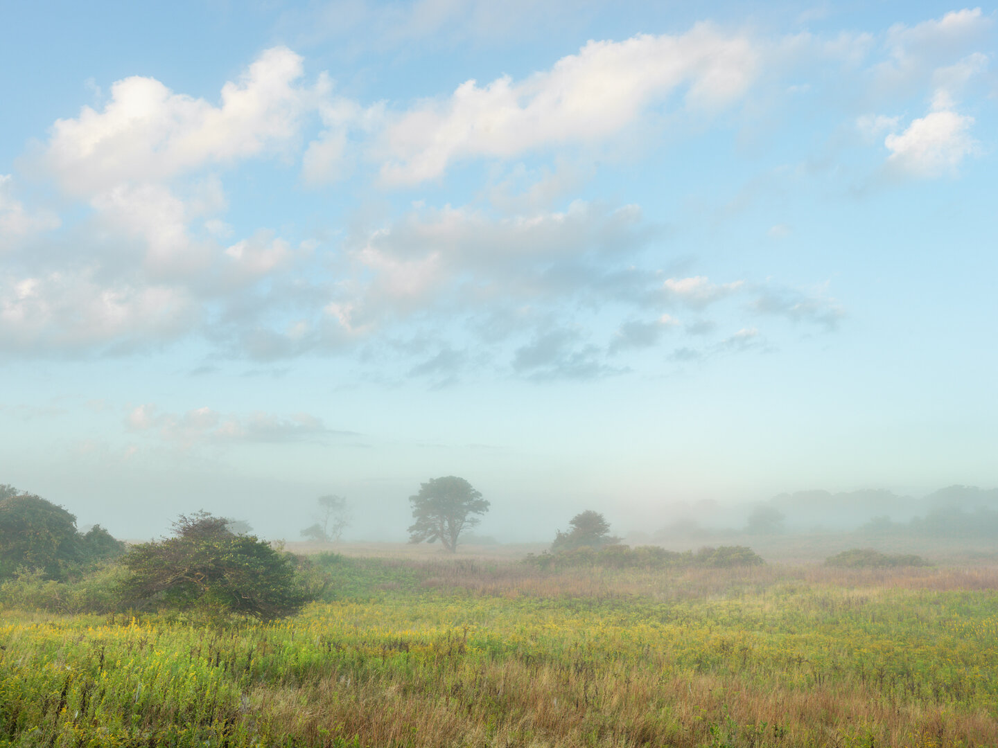 Sanford Farm / Late Summer