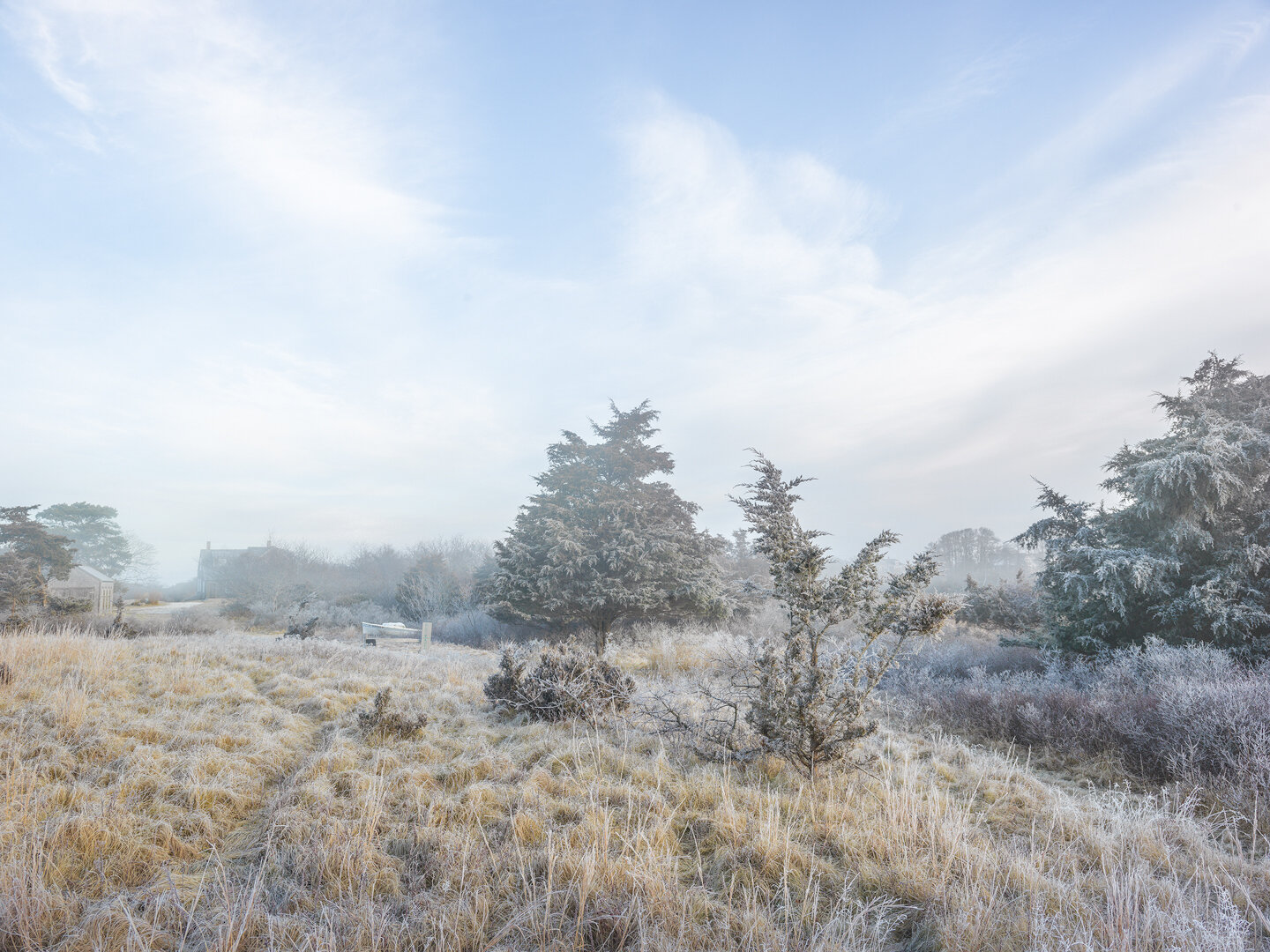 Middle Moors in Frost