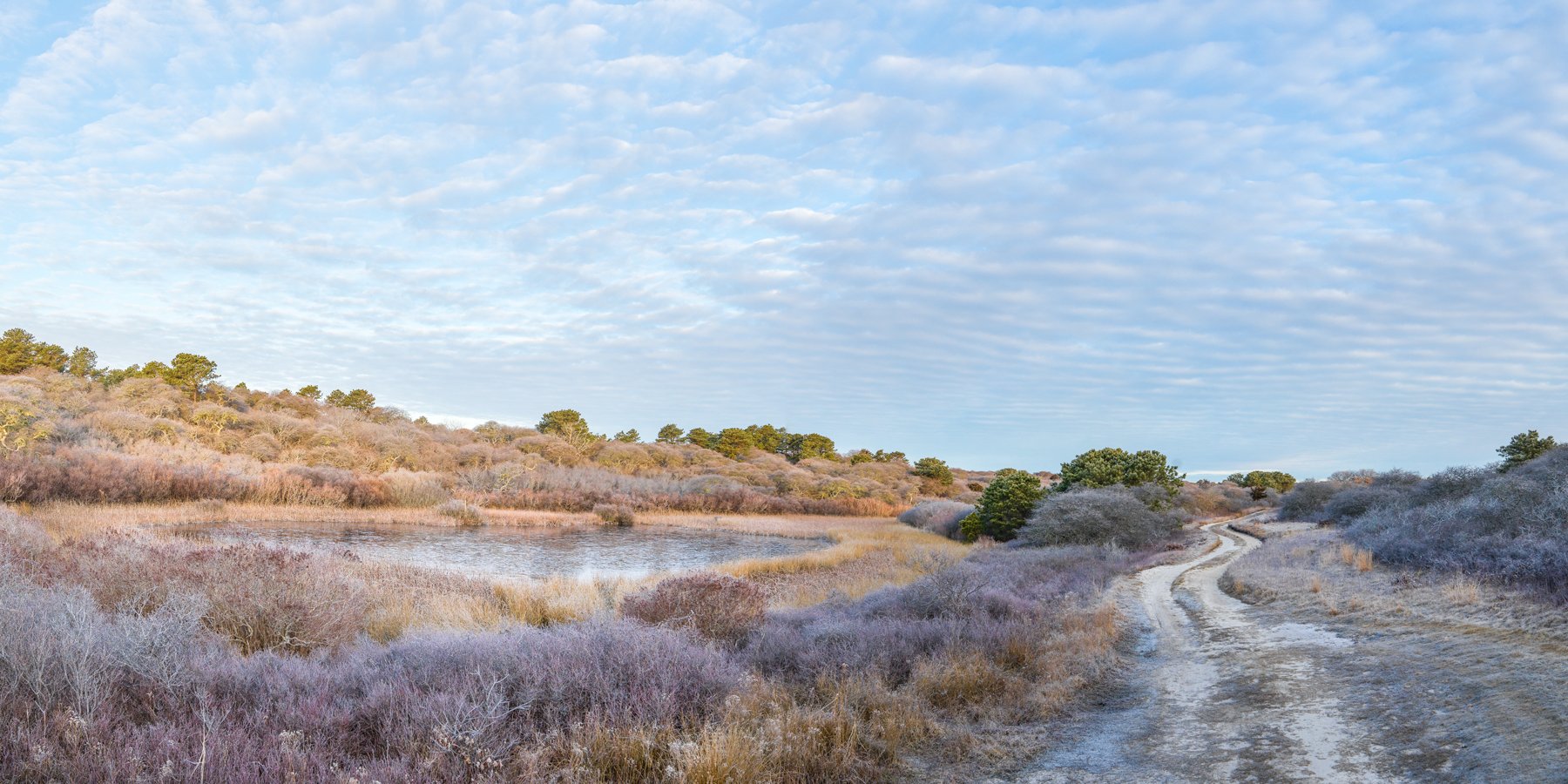 Pout Pond : Frost B_7594PAN Panorama.jpg