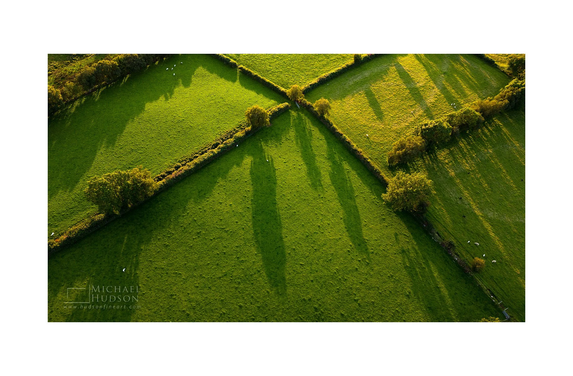 Hedge Crossing, Wales / Limited Edition Print No. 2S3-1203