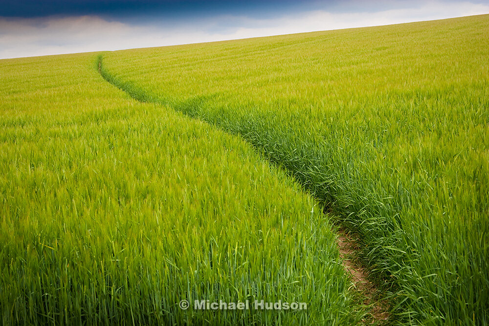 green-field-england.jpg