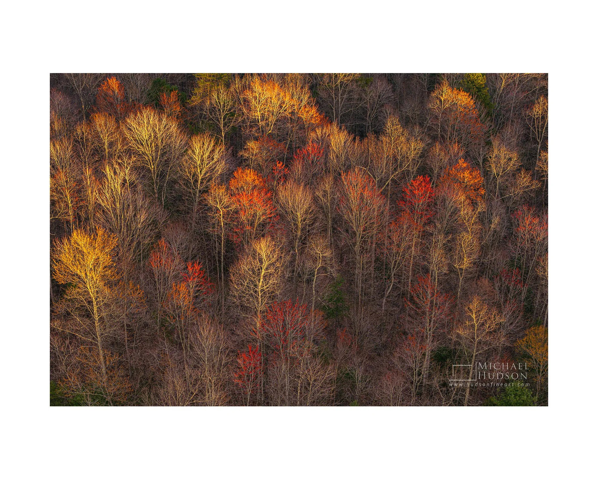 Spring Colors, Kentucky/ Limited Edition Print No. 2S4-0250