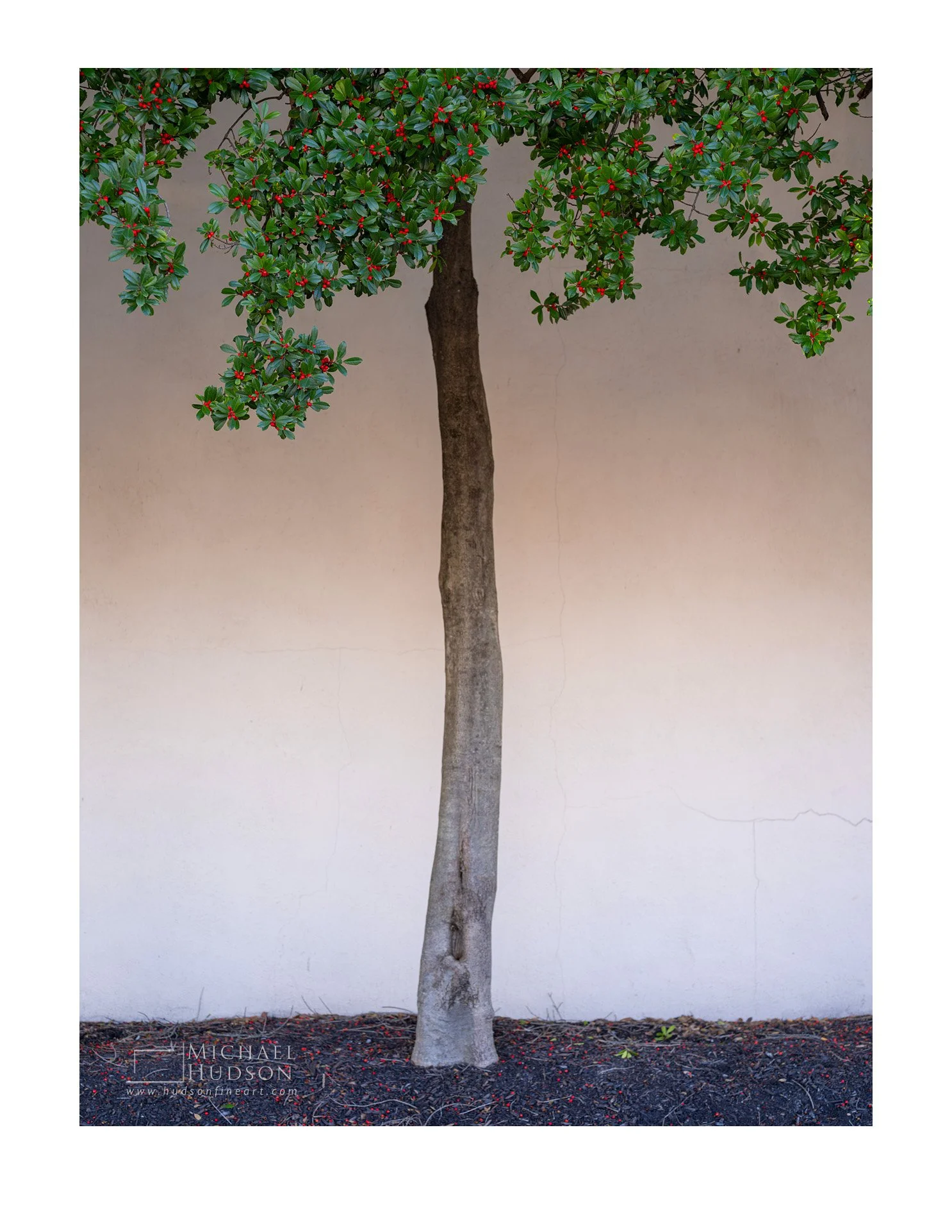 Slender Trunk/ Limited Edition Print No. 2S6-0015