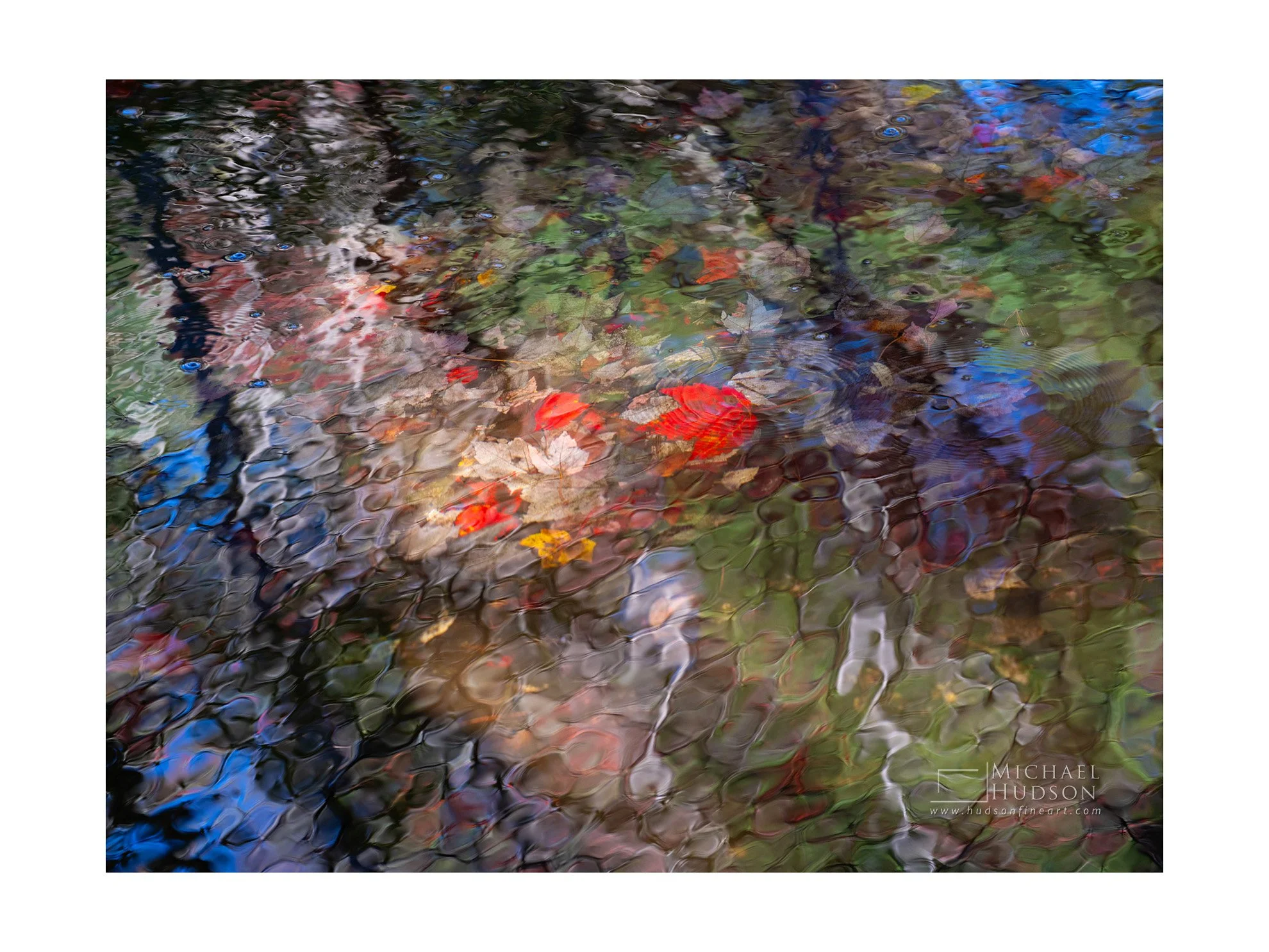 Submersion/ Limited Edition Print No. 2S4-2283