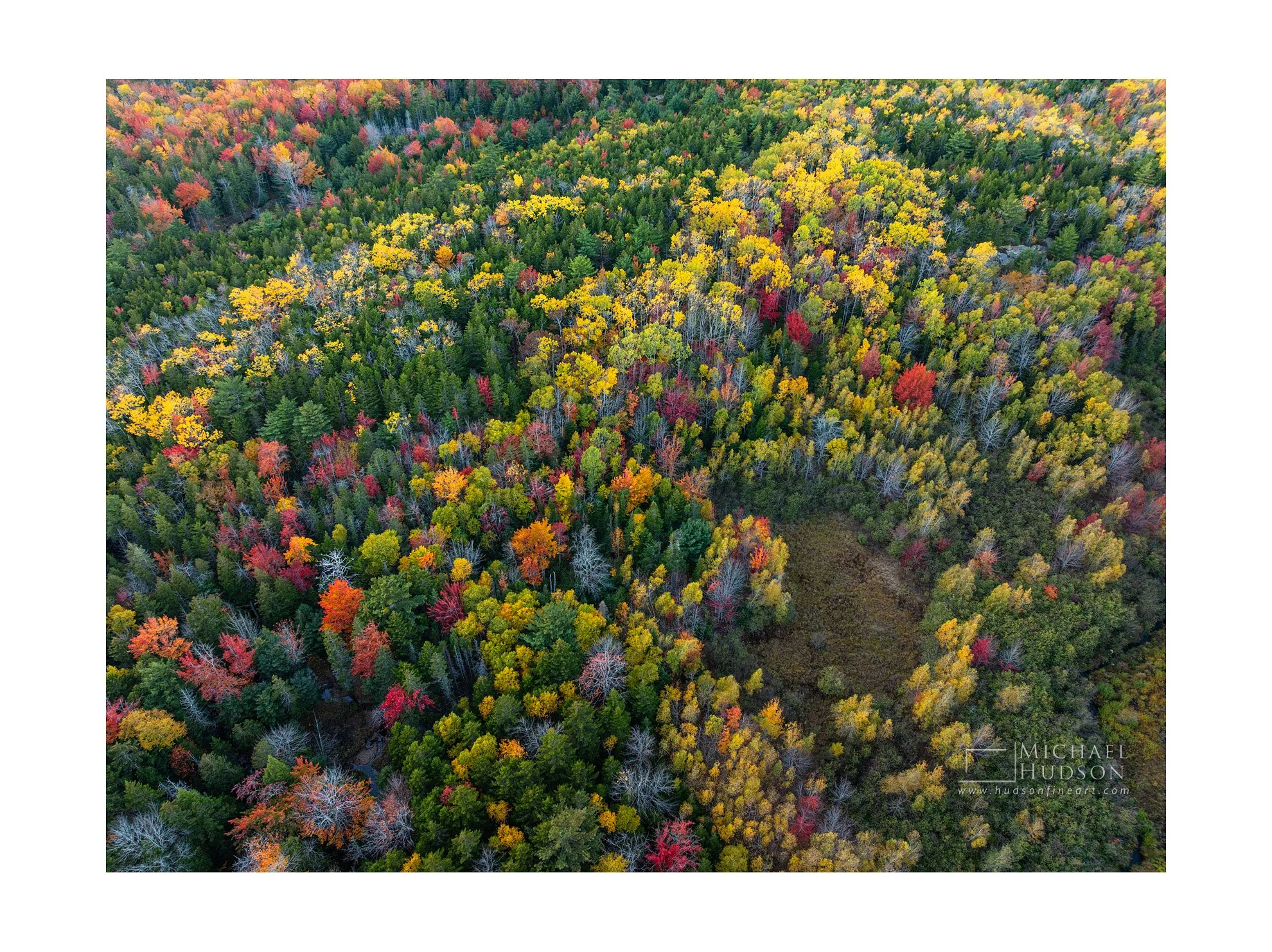 Birdseye Autumn/ Limited Edition Print No. 2S5-3373