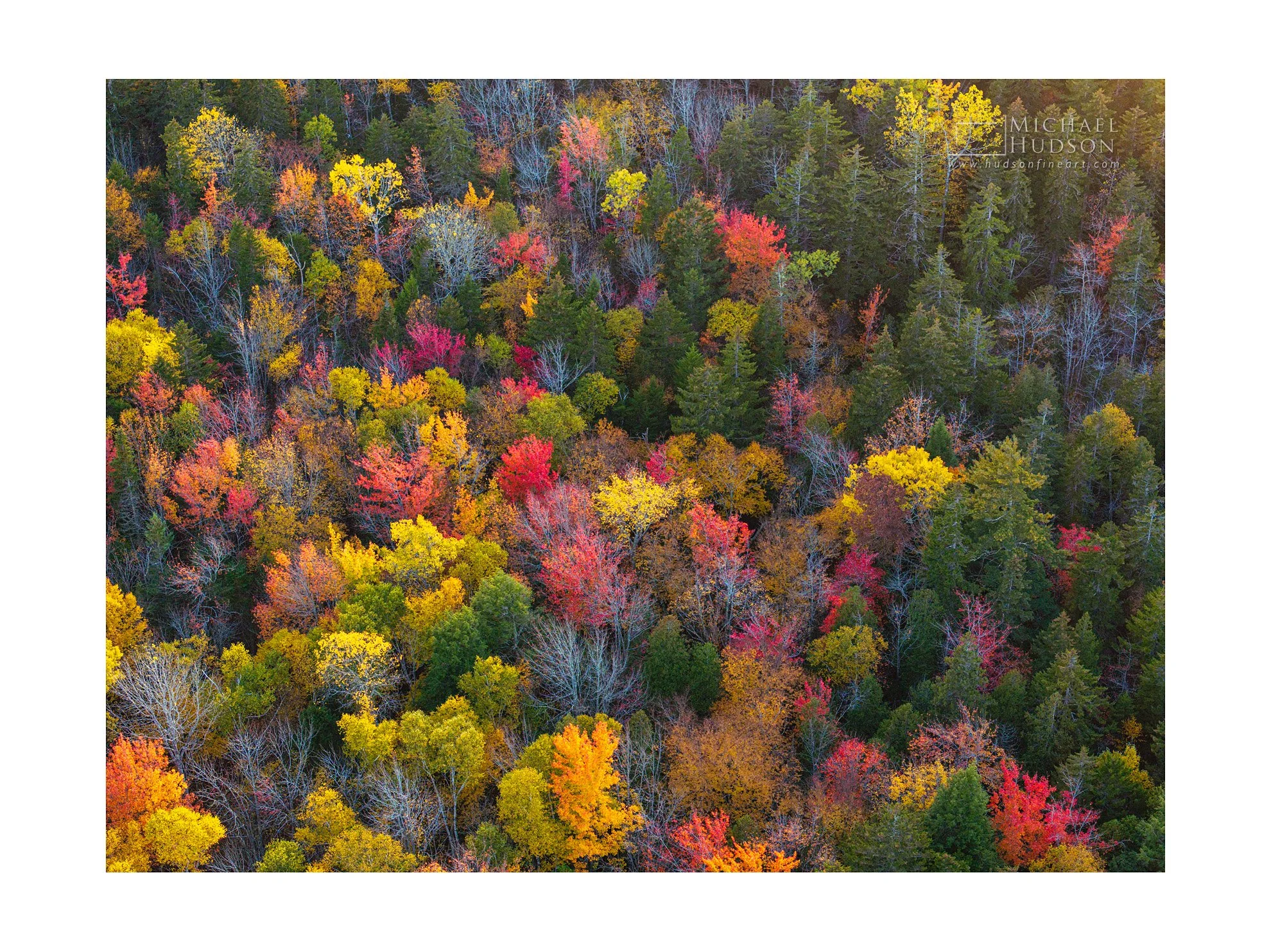 Peak Foliage/ Limited Edition Print No. 2S5-335