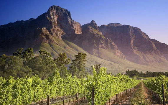 Must-Dos For Any South Africa Trip