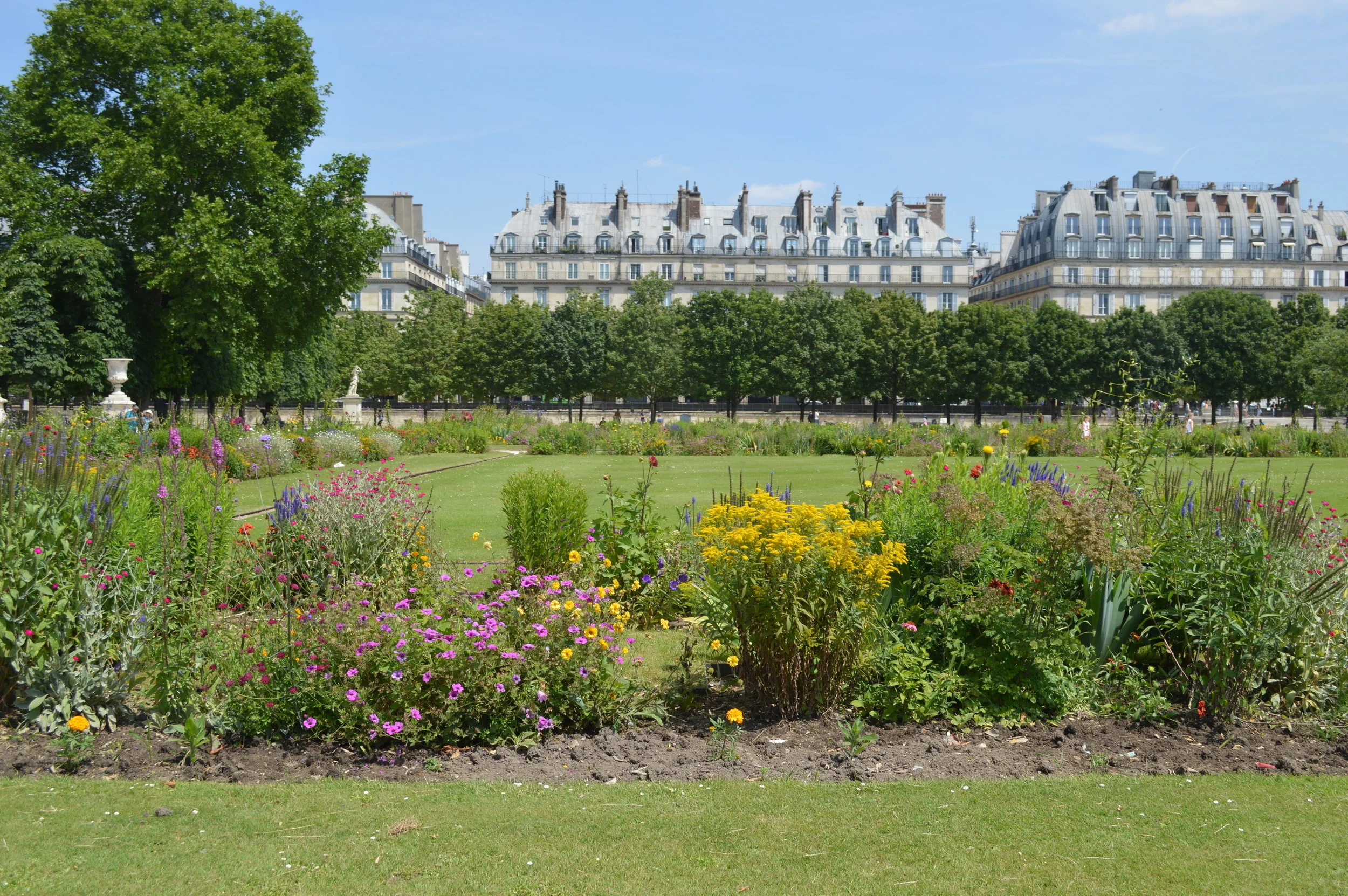 4 Things That Surprised Me About Paris