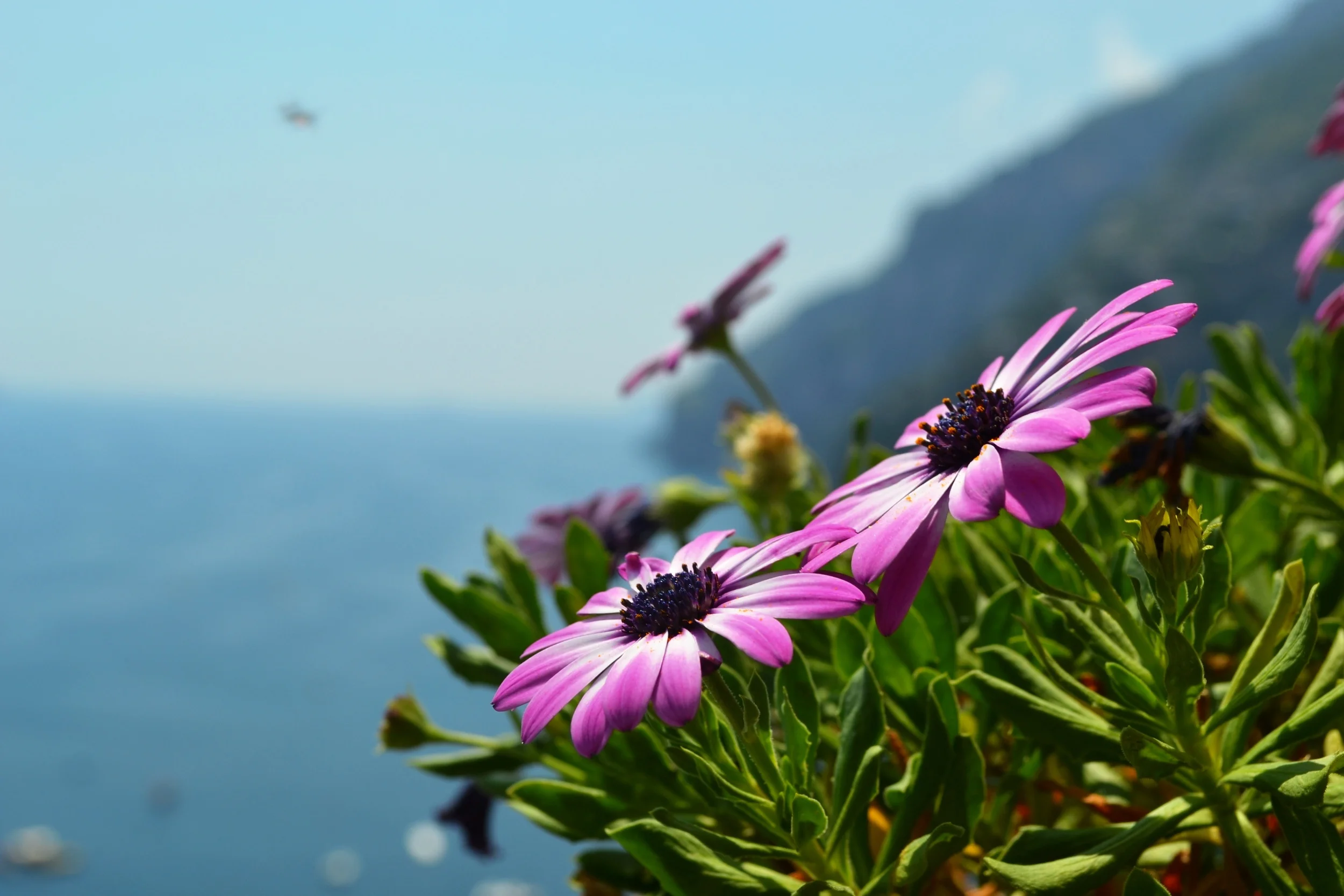 The Most Beautiful Beach Towns in the Mediterranean