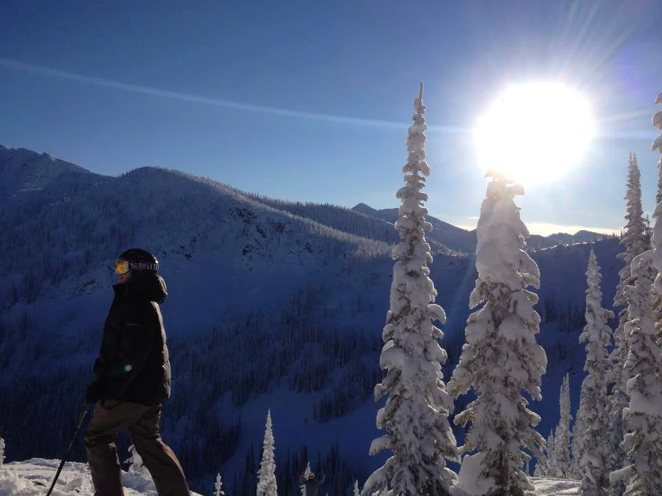 Pursuing The Stomach Drops