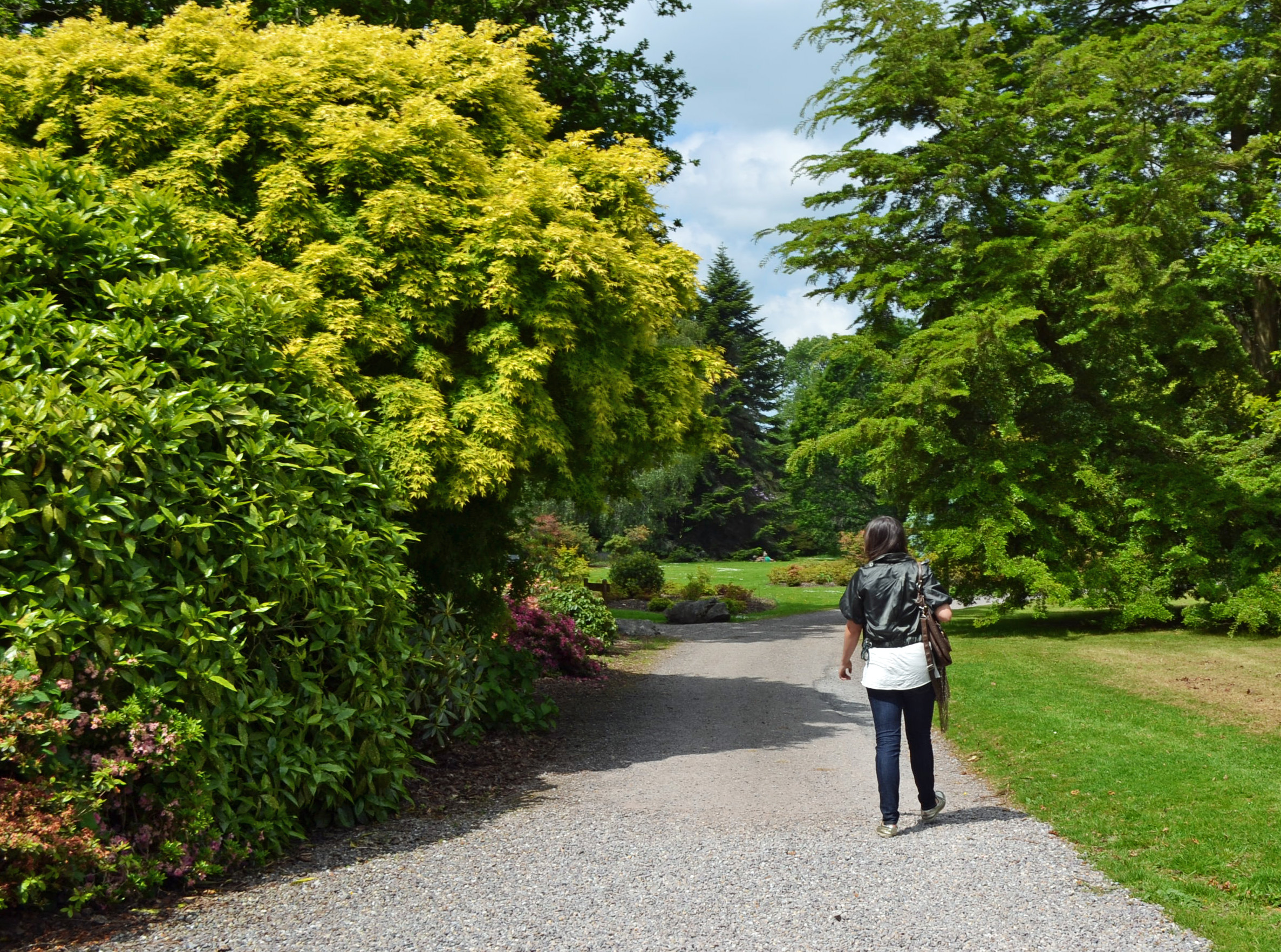 I Wasn't Running Away From Life, I Was Running Toward It