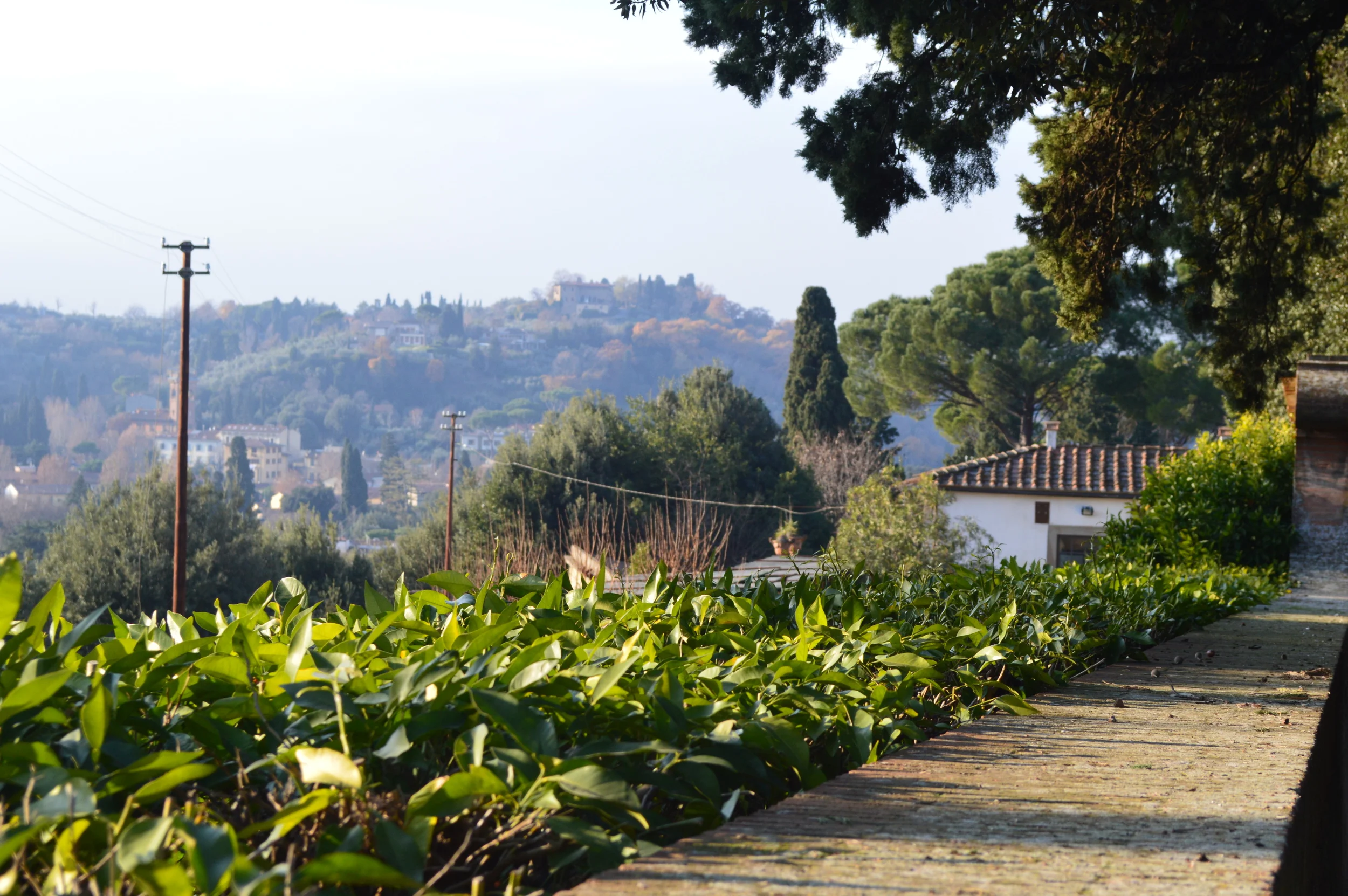 4 Amazing Day Trips From Florence, Italy