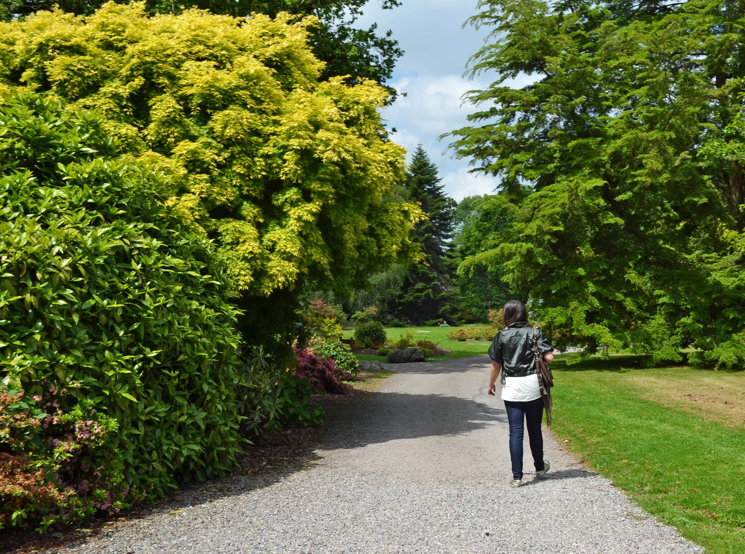 When I Got Bit (By The Travel Bug)