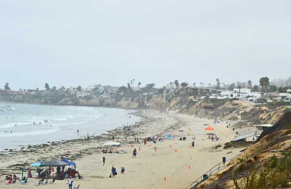 5 Things To Do In Pacific Beach, San Diego