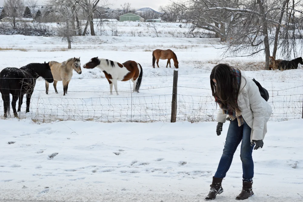 Denver, Colorado A Winter Wonderland — Go Seek Explore