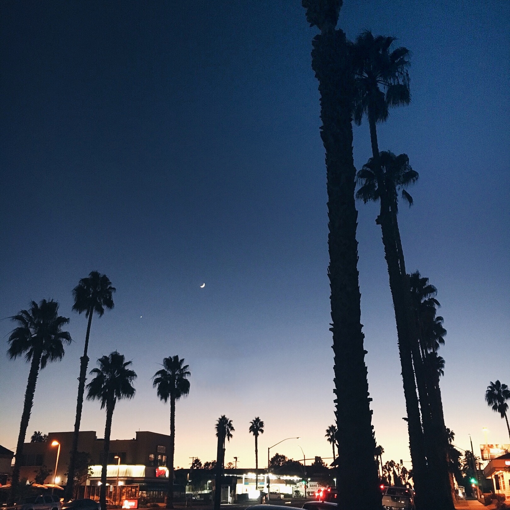 I Quit My Job And Moved To California [VLOG]