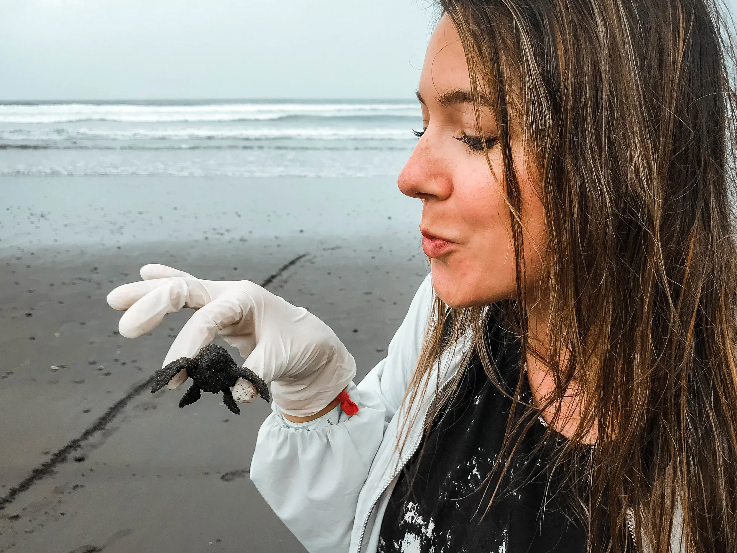 Releasing Baby Sea Turtles Into the Ocean In Costa Rica (Incredible)