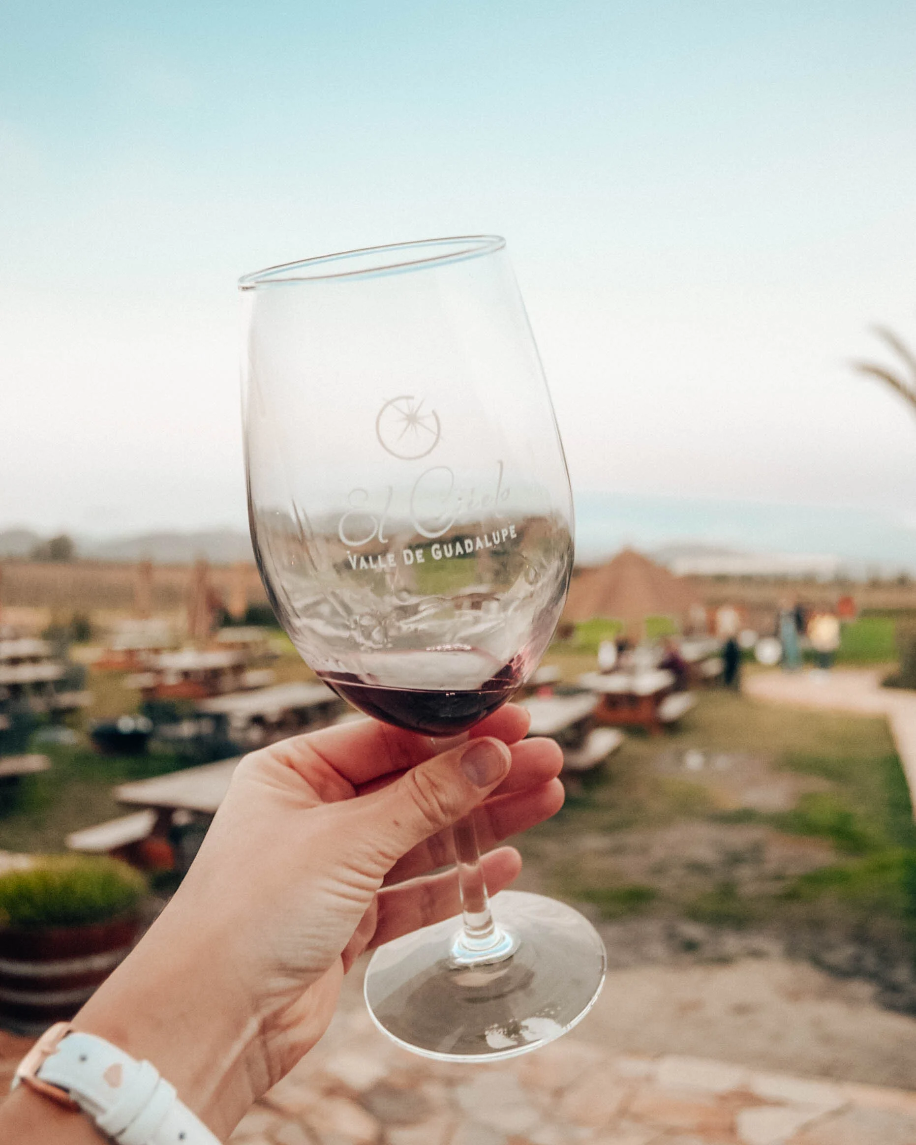 Wine Tasting in Mexico's Guadalupe Valley