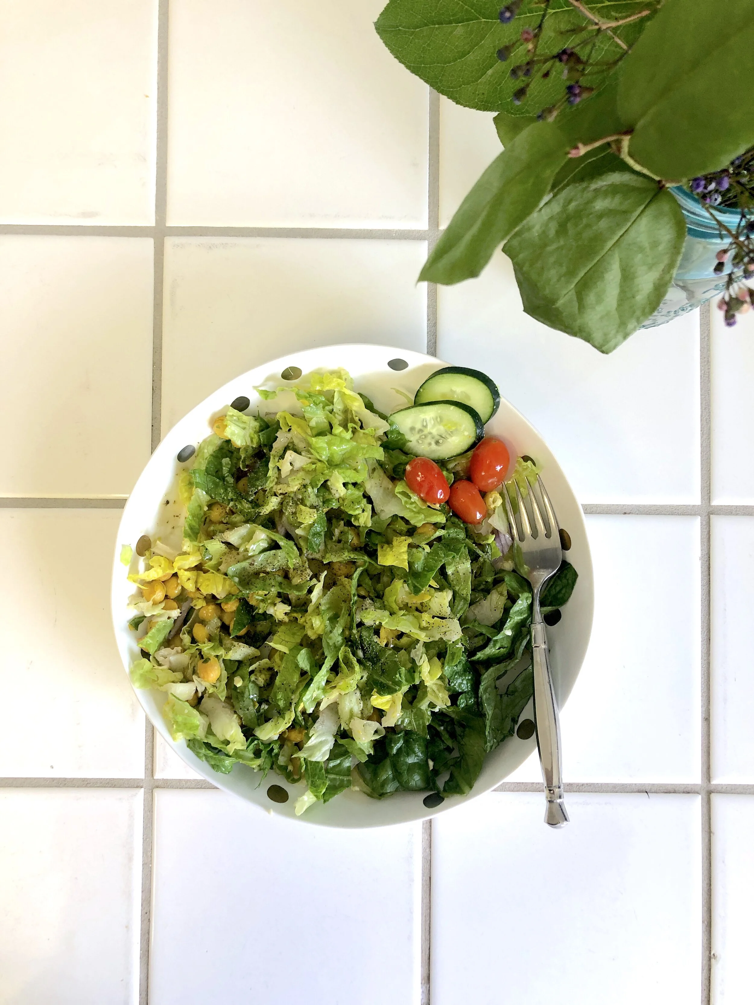 Paleo Meal Delivery From Catered Fit!