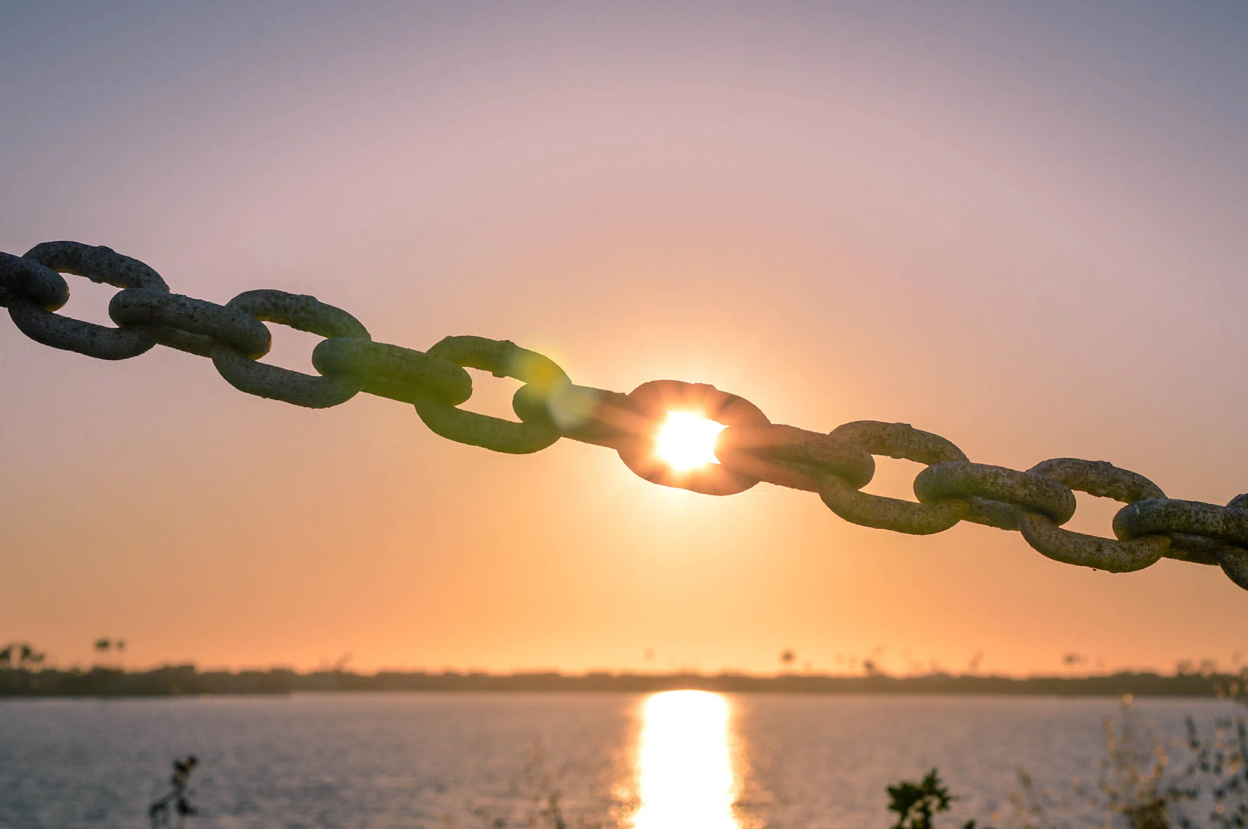 2020 Annual Year In Review: Go Seek Explore