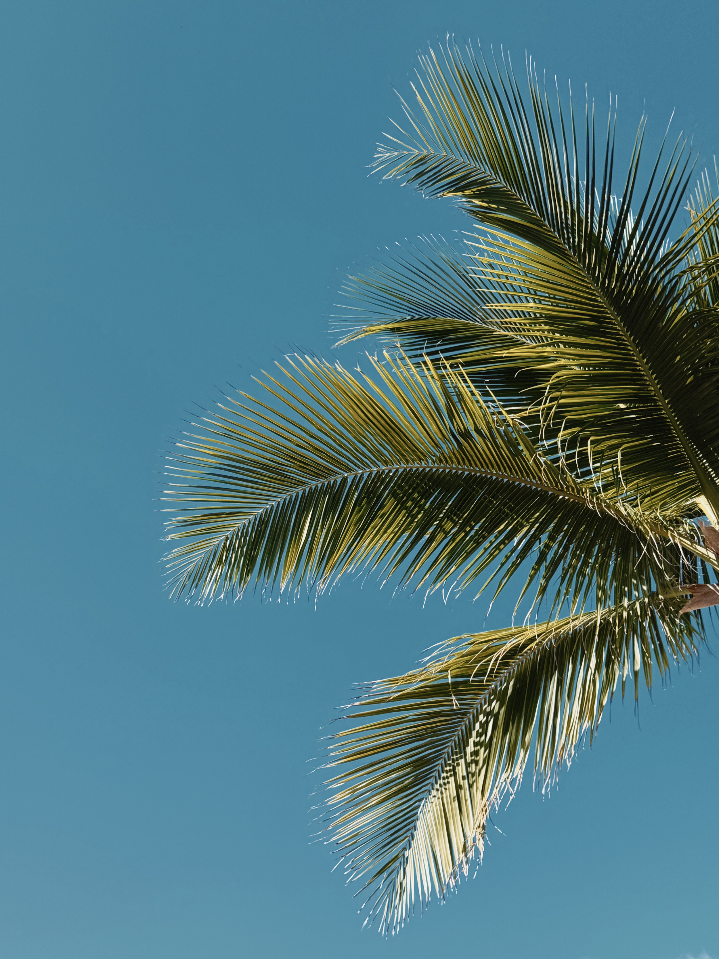 Bimini Island - Travel Tips for a Bimini Day Trip from Miami