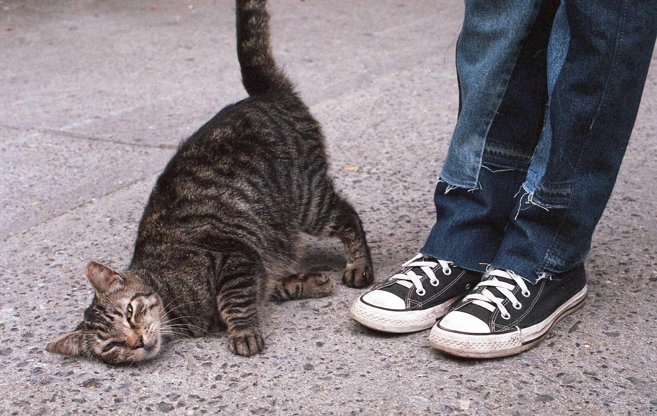 3CF98FA0-72D8-446D-9621-D9FCA46F6AB6