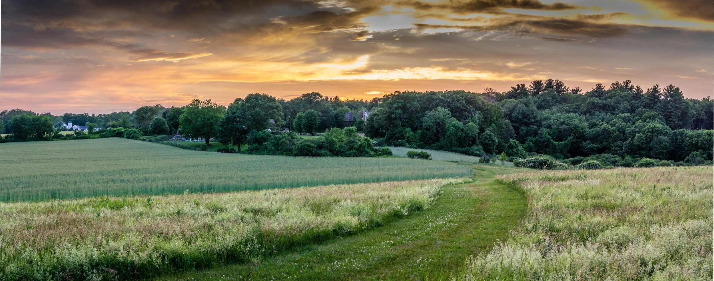 Matison Field Spring Sunset