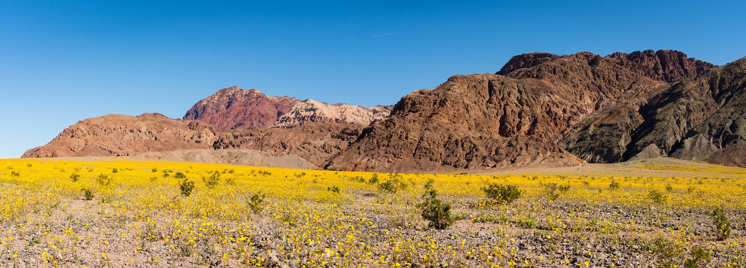 Fields of Gold