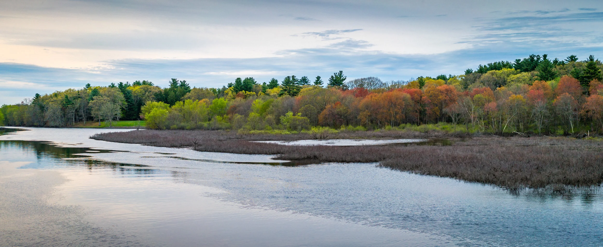 Sudbury River Spring