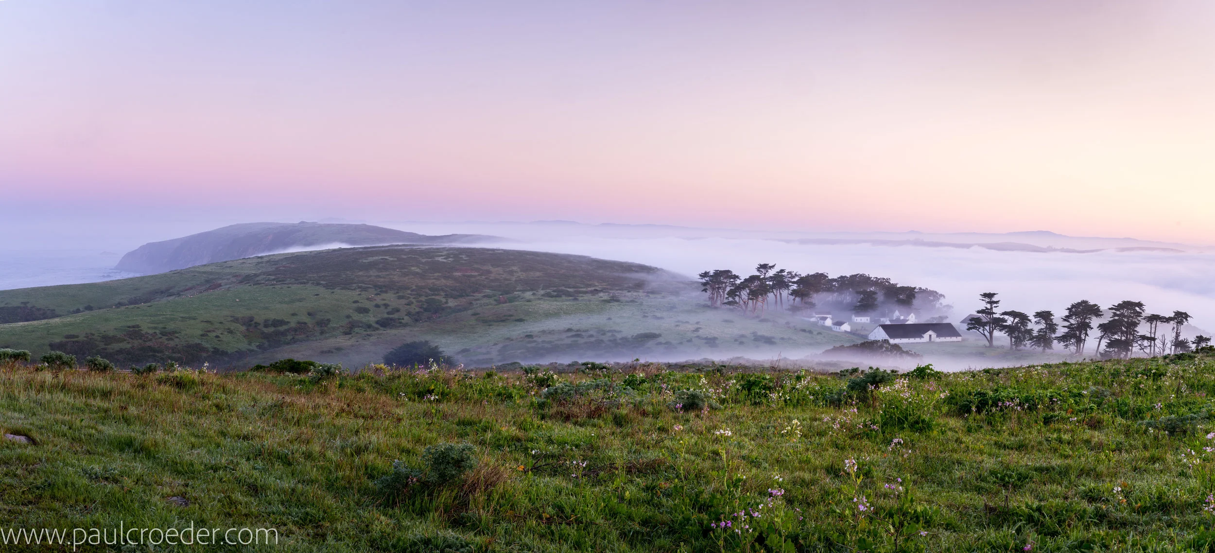 Tomales Point Pierce Ranch