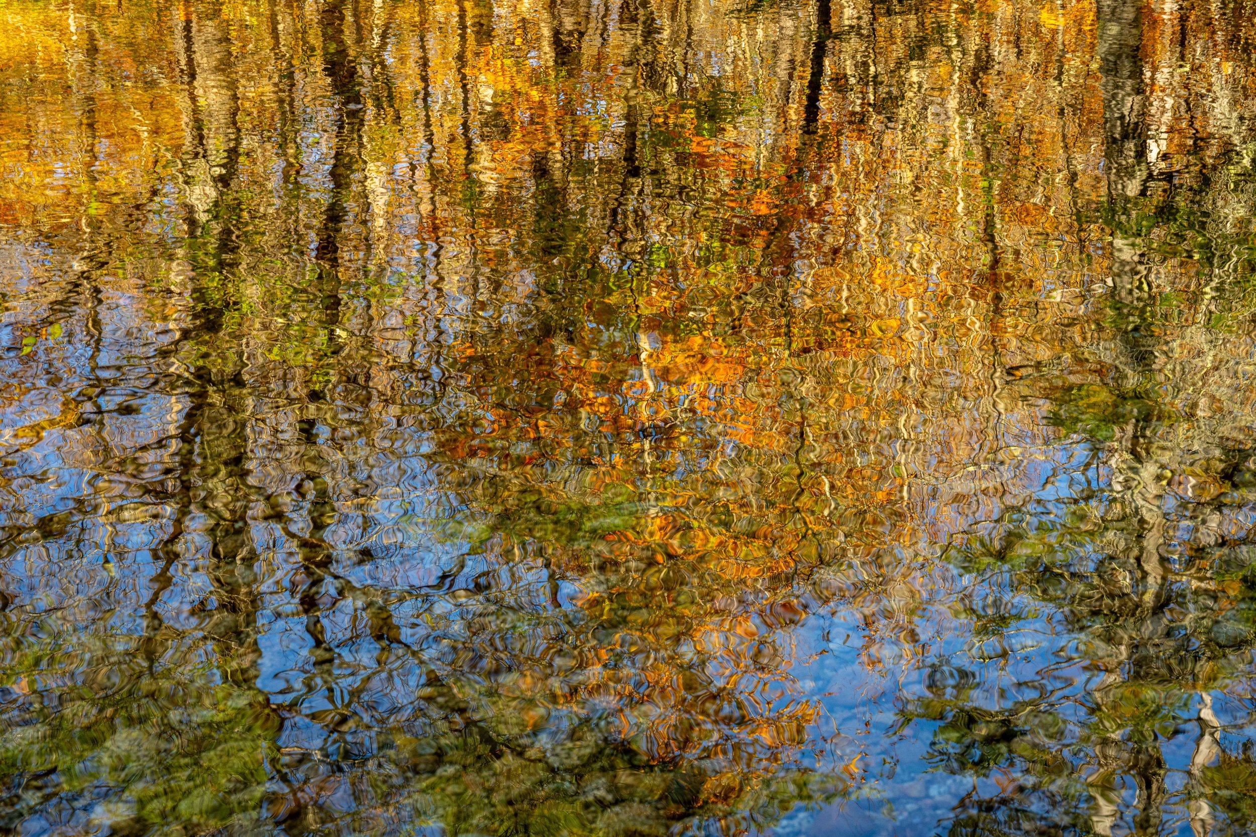 Passaconaway Reflections Fall 2025