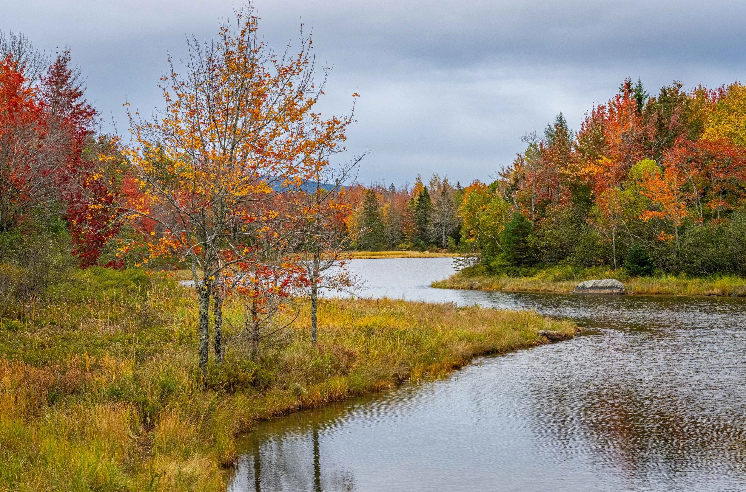Northeast Creek Acadia NP Fall 2005