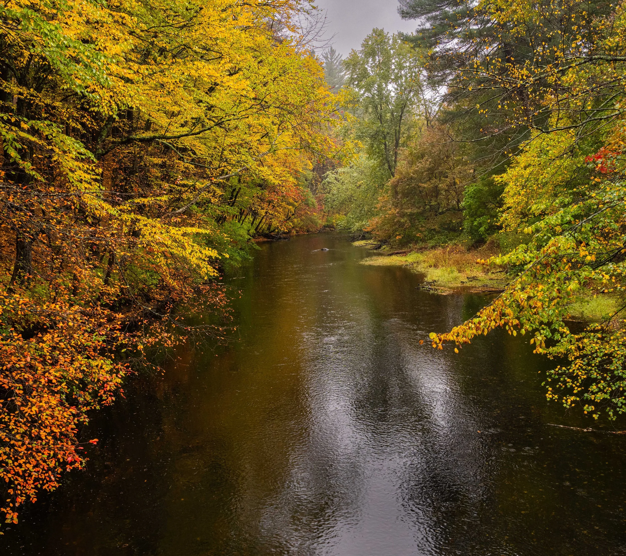 Assabet River #2 Fall 2025