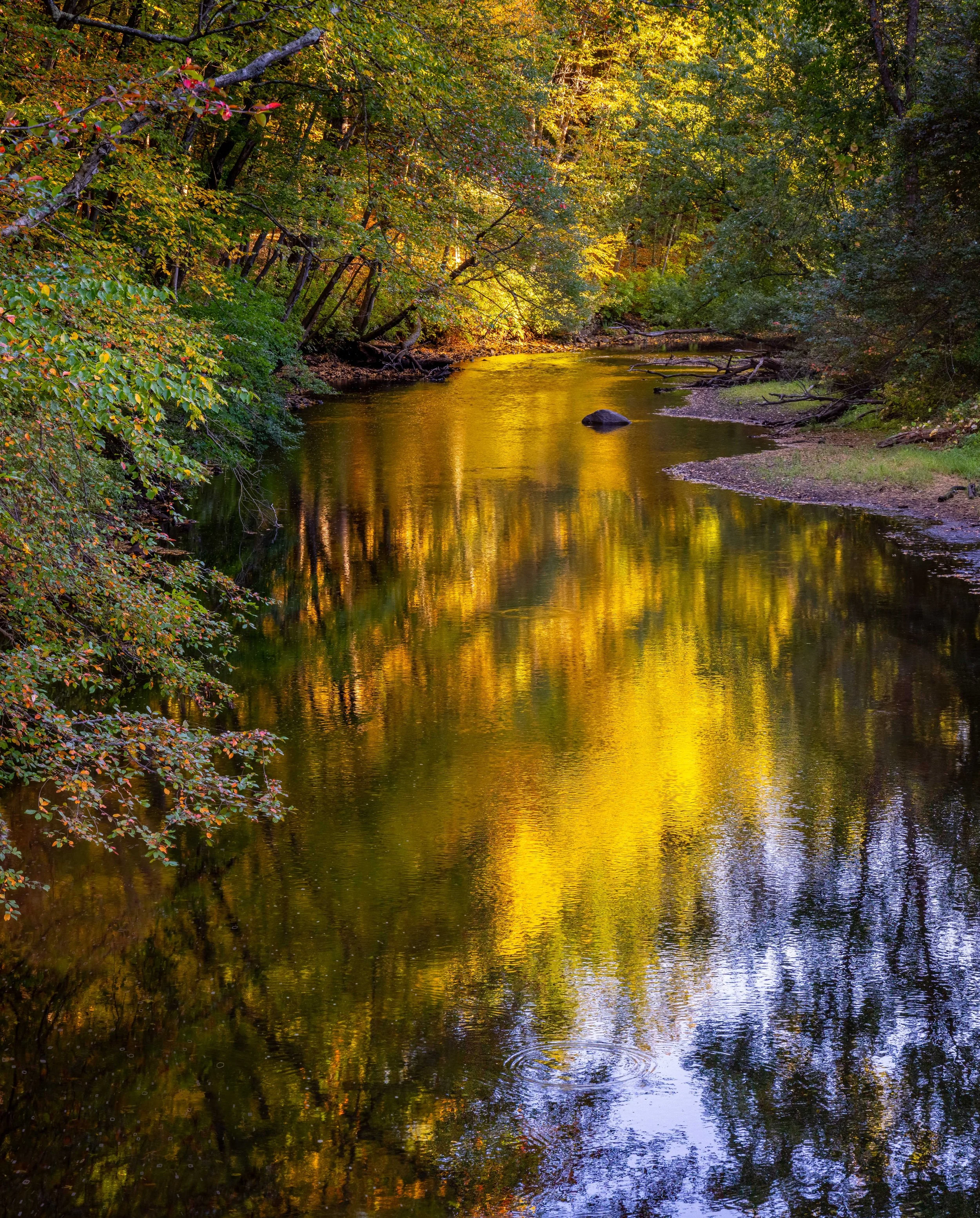 Assabet River #1 Fall 2025