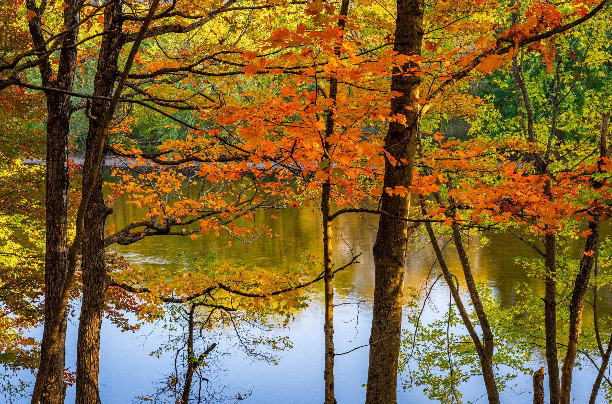 North Road Gorham NH Fall 2025
