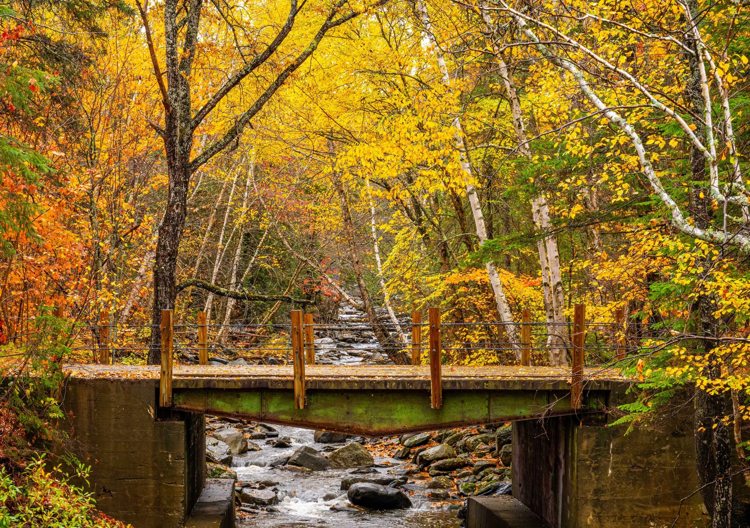 Bike Path Rangeley Lake ME Fall 2025