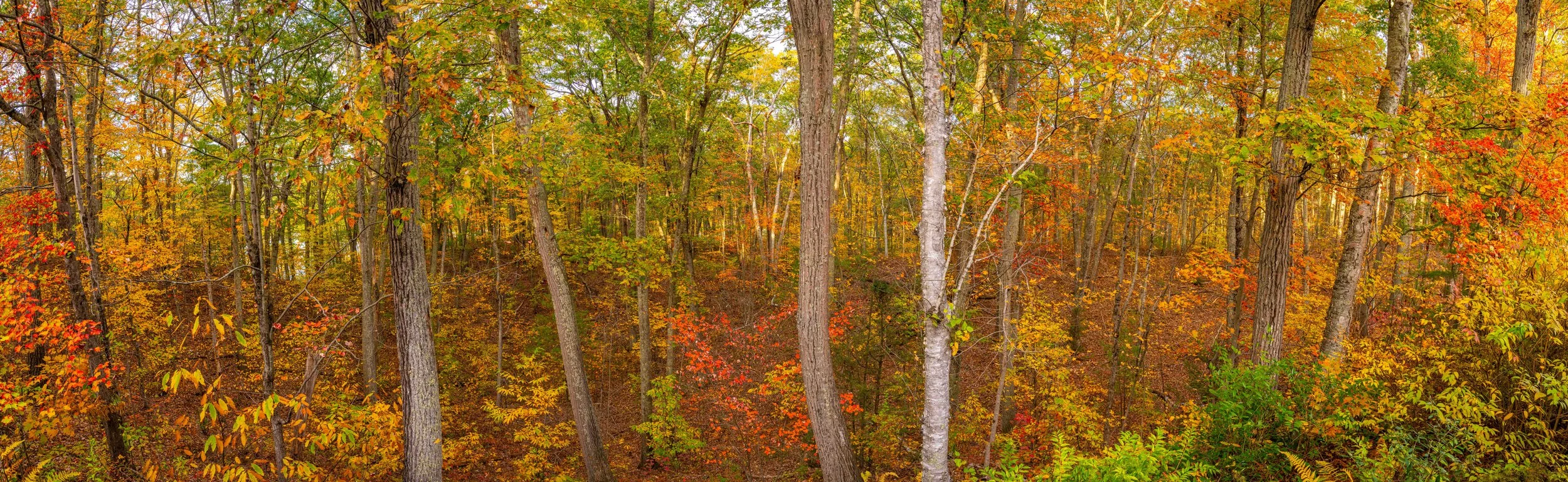 Lincoln Condo Deck View Fall 2025